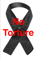 tortureprotest.org