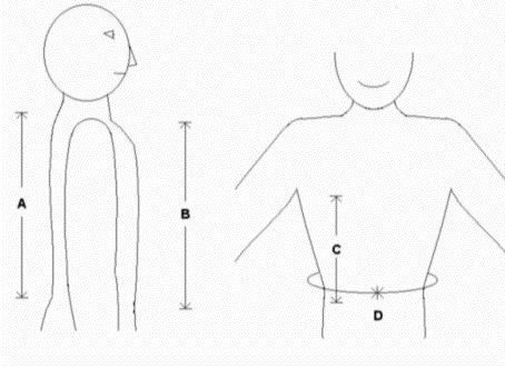 measurements