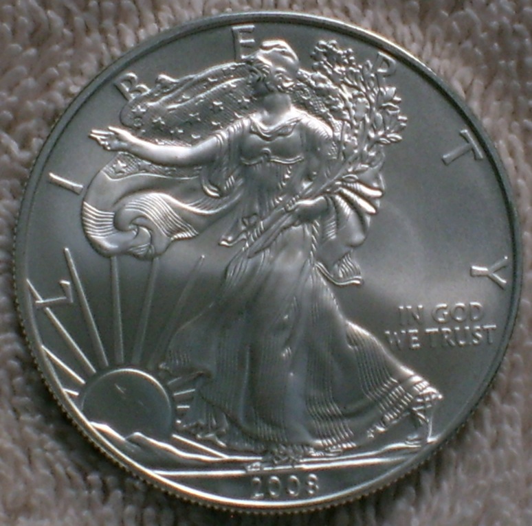 2008 Silver Eagle, natural light