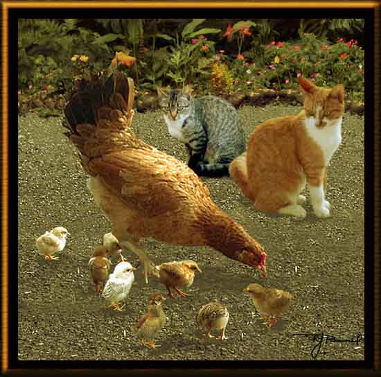 Cats and chicks