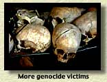 Skulls and skulls