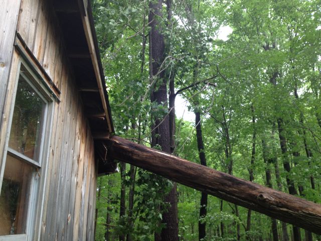 treefallsonhouse-02.jpg
