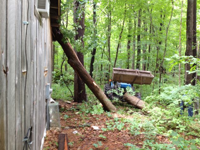 treefallsonhouse-13.jpg