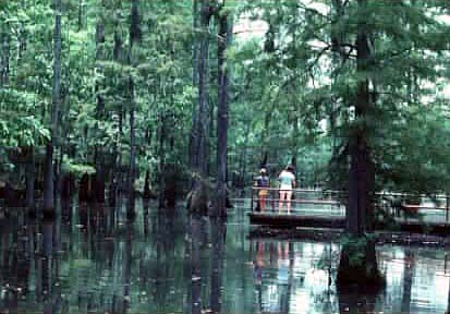 Lake Cheniere